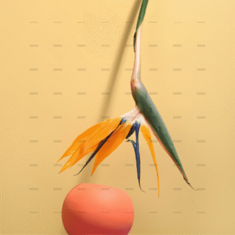 demo-attachment-264-pexels-daria-liudnaya-7354422-min