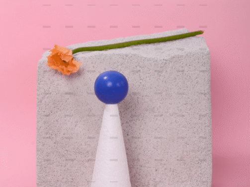 demo-attachment-1651-pexels-daria-liudnaya-7354801